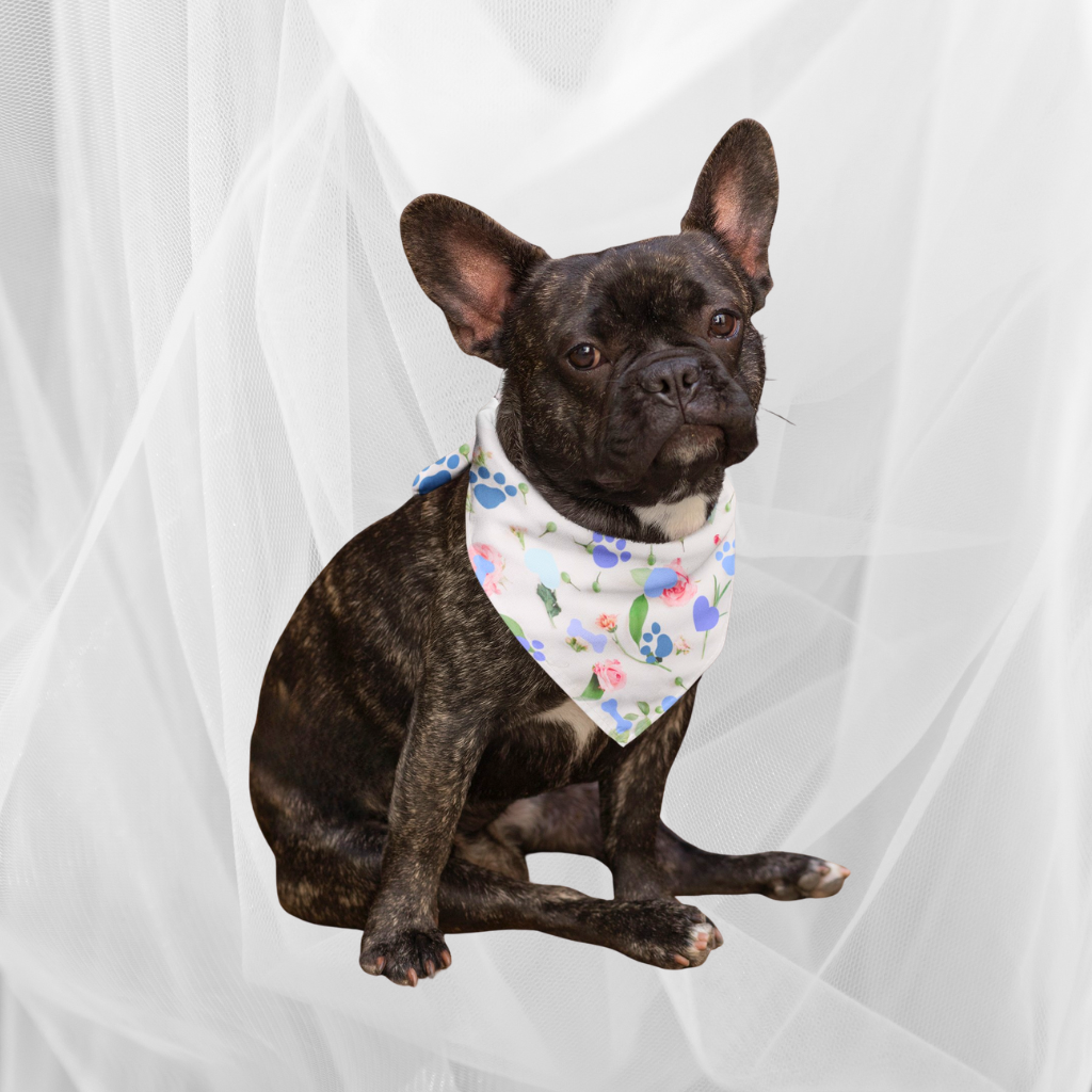 🐾 Dog Bandanas